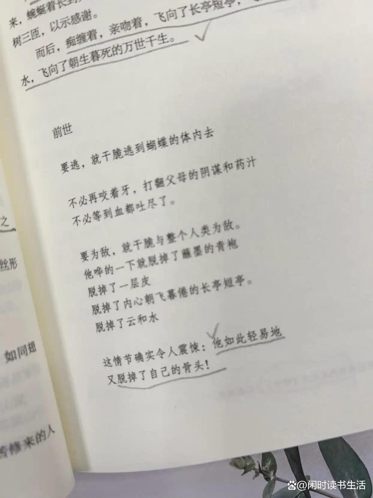 歌颂爱情书籍_玩命爱一个妖怪_玩命爱个姑娘在线观看